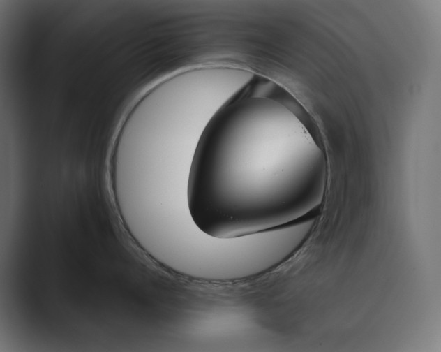 X0000089340960200706290959