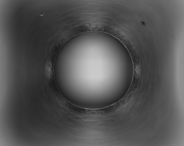 X0000089340963200706290958