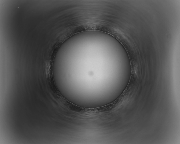 X0000089340964200706290958