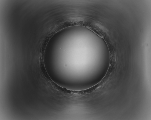 X0000089340965200706290958