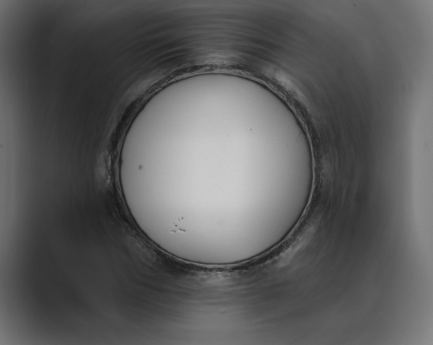 X0000089340970200706290958