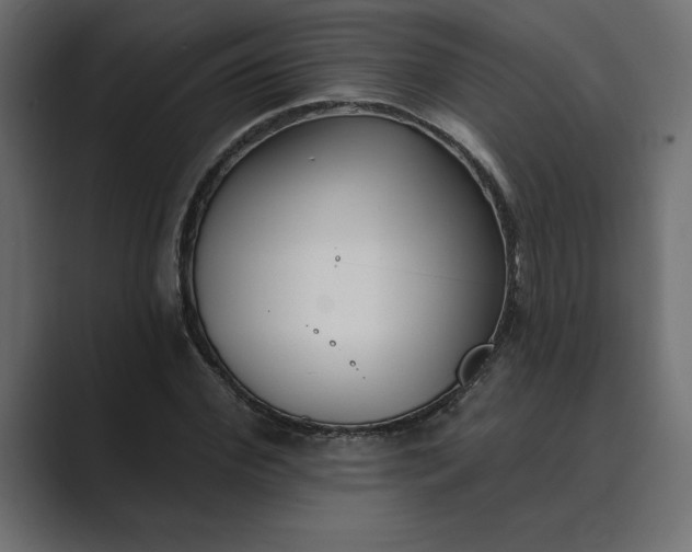 X0000089340972200706290958