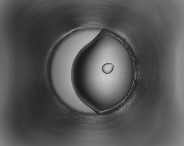 X0000089340973200706290958