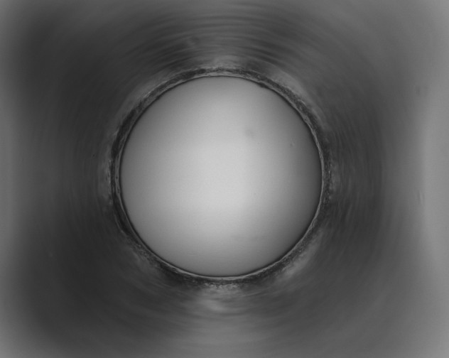 X0000089340978200706290958
