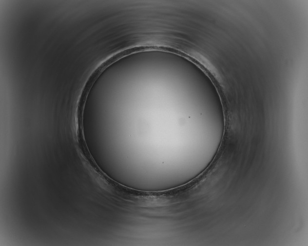 X0000089340980200706290958