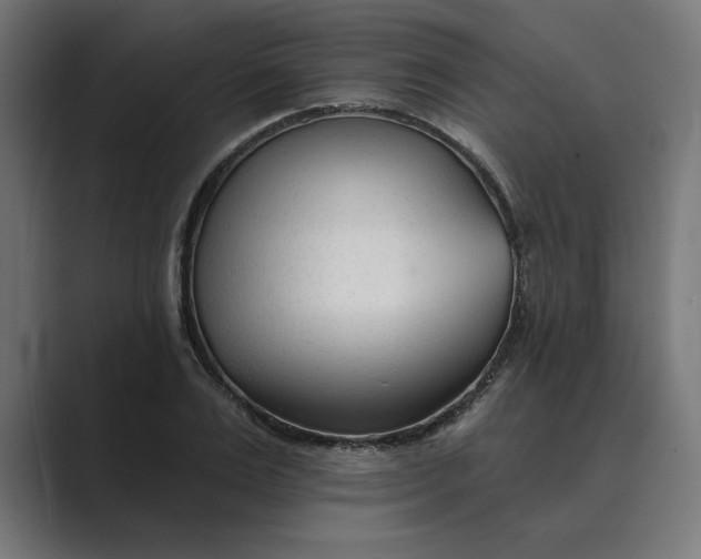 X0000089340983200706290958