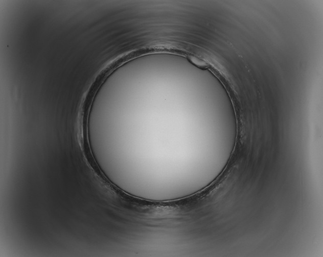 X0000089340984200706290958
