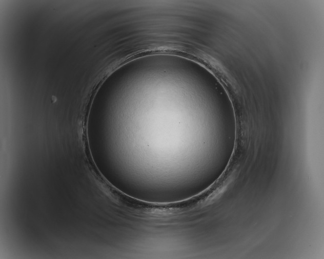 X0000089340985200706290958