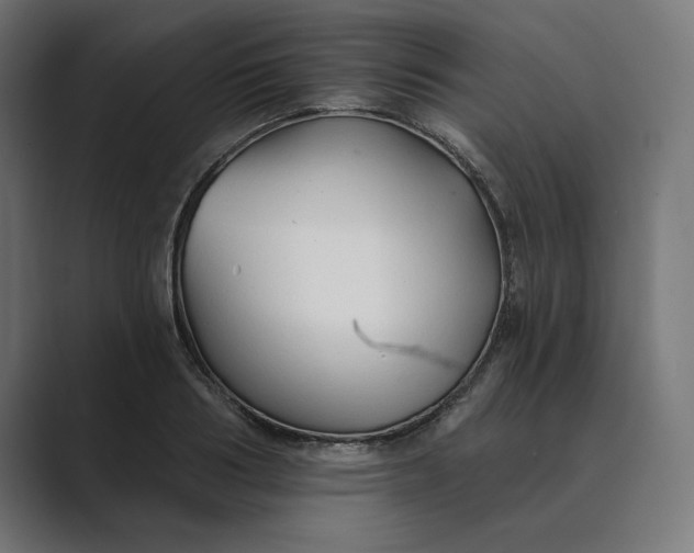 X0000089340986200706290958