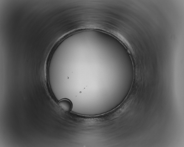 X0000089340988200706290958