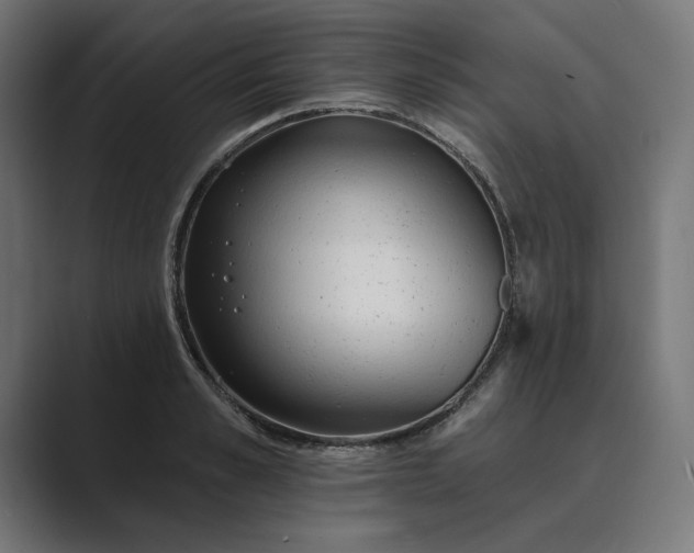 X0000089340989200706290958