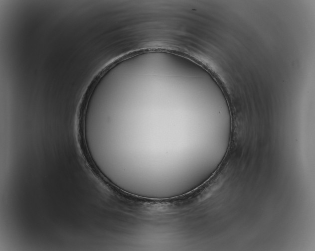 X0000089340991200706290958