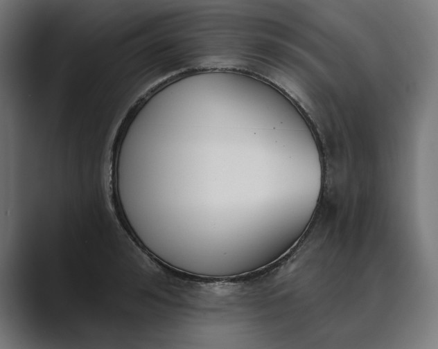 X0000089340992200706290958