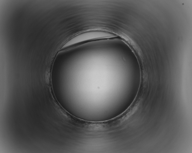 X0000089340993200706290958