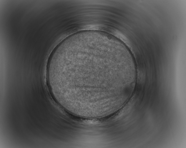 X0000089340994200706290958