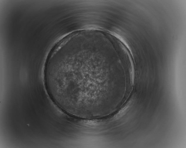X0000089340995200706290958