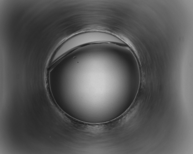 X0000089340997200706290958
