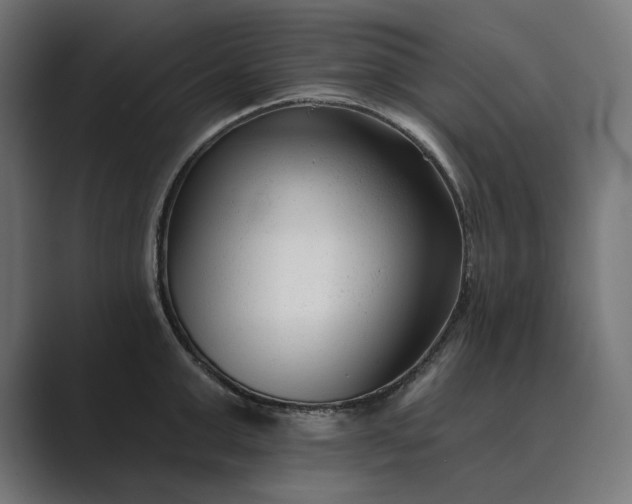 X0000089340999200706290957