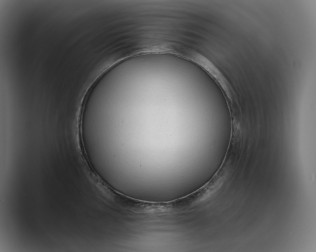 X0000089341002200706290957