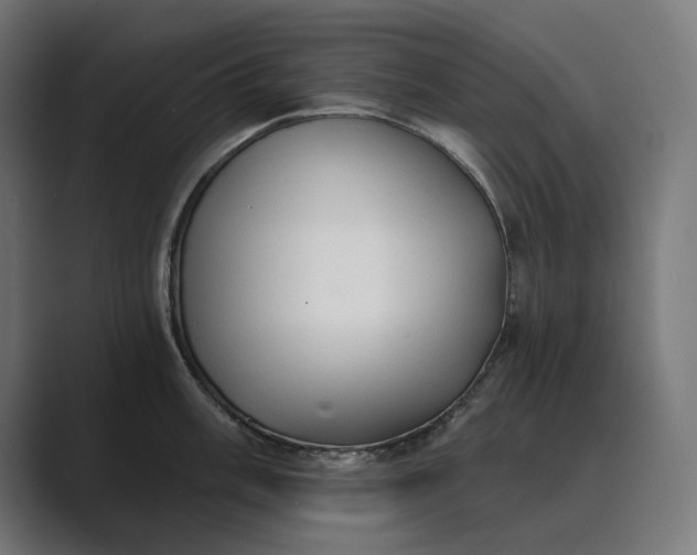 X0000089341003200706290957