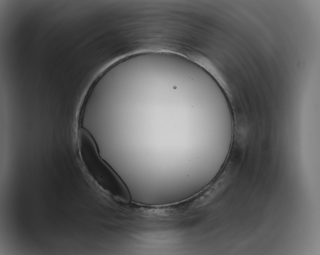 X0000089341004200706290957