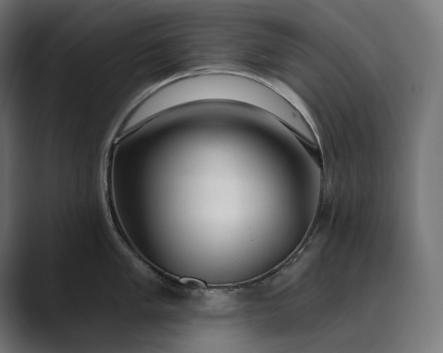 X0000089341005200706290957