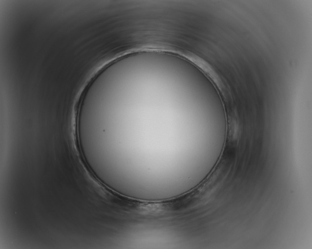 X0000089341006200706290957
