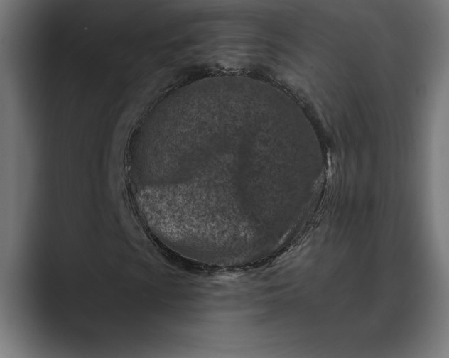 X0000089341009200706290957