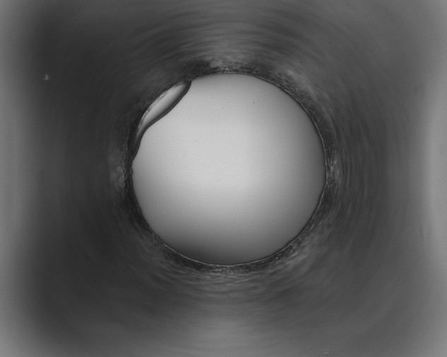 X0000089341012200706290957