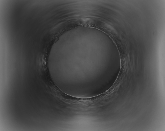 X0000089341013200706290957