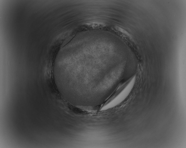 X0000089341014200706290957