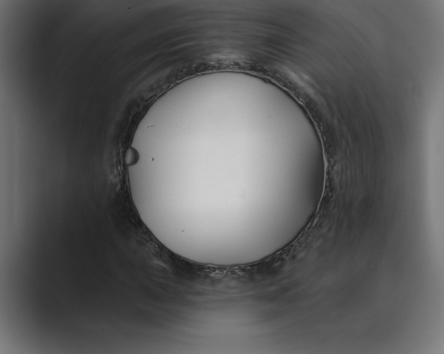 X0000089341015200706290957