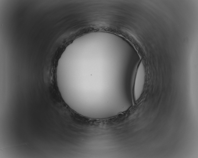 X0000089341016200706290957