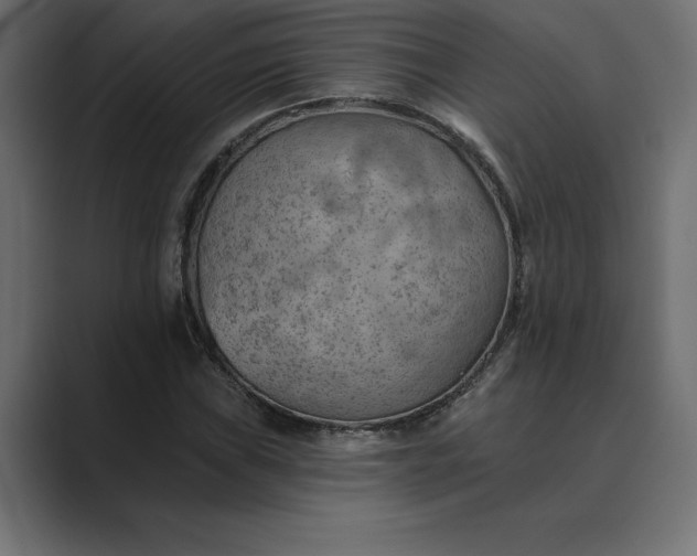 X0000089341019200706290957