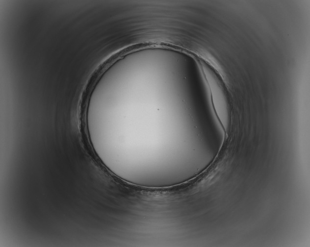 X0000089341020200706290957