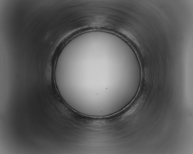 X0000089341021200706290957