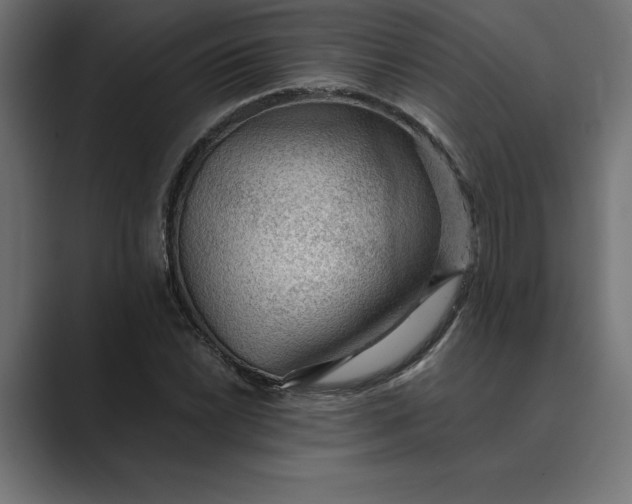 X0000089341022200706290957
