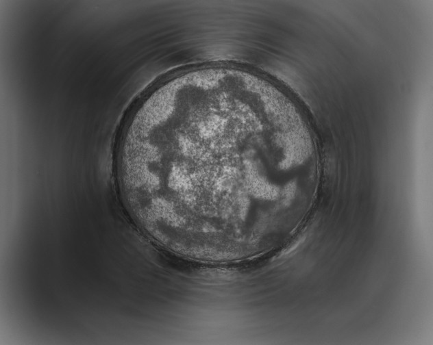 X0000089341023200706290957