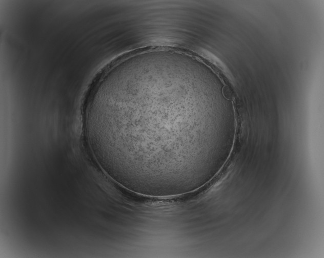X0000089341027200706290957