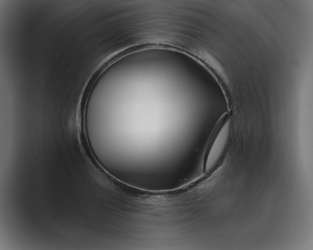 X0000089341028200706290957