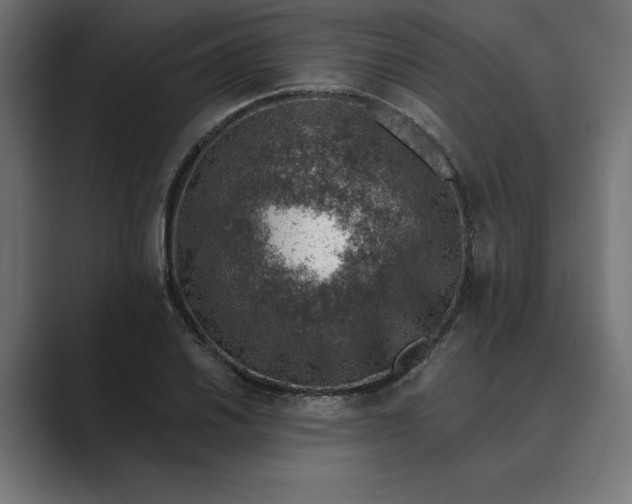 X0000089341030200706290957