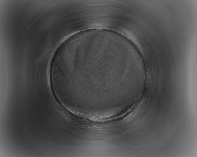 X0000089341035200706290957