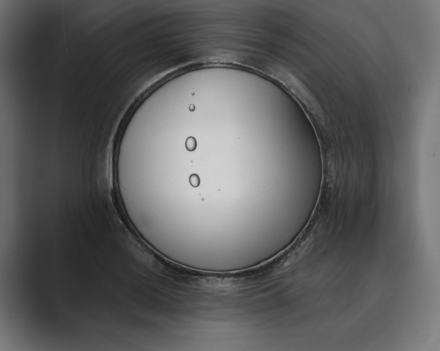 X0000089341036200706290957