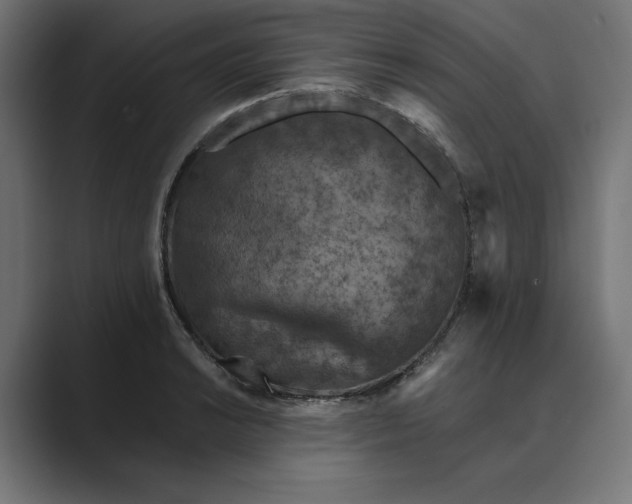 X0000089341038200706290957