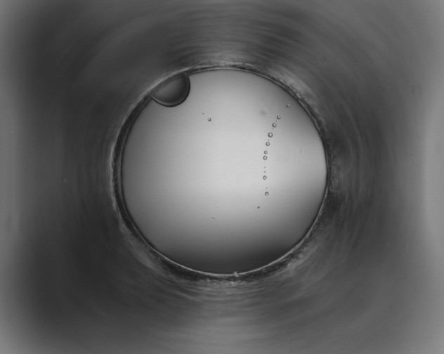 X0000089341039200706290957