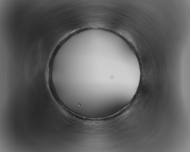 X0000089341040200706290957