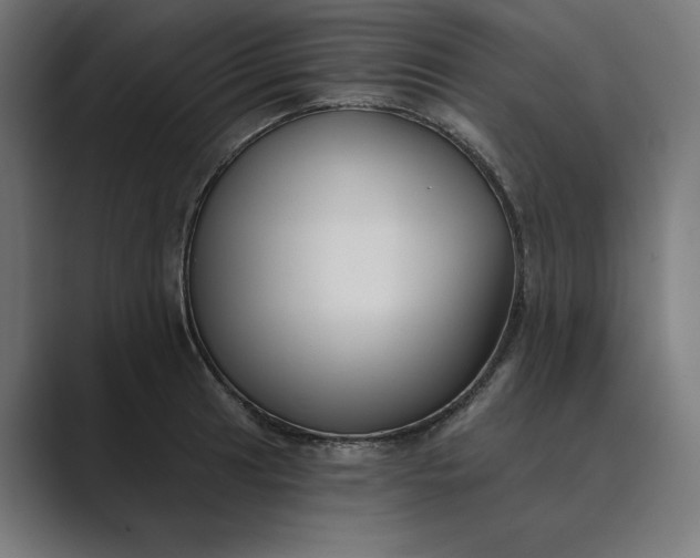 X0000089341041200706290957