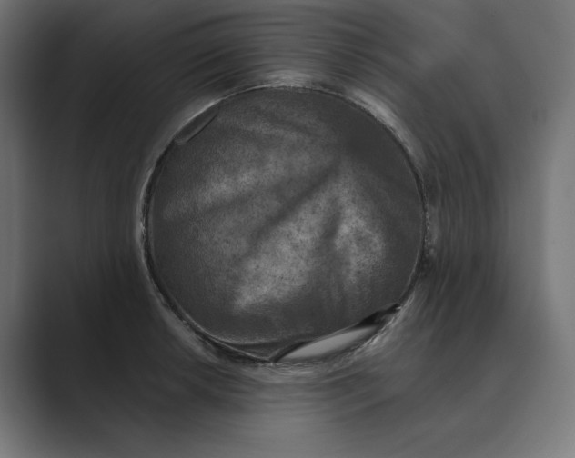 X0000089341042200706290957