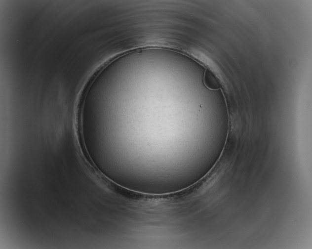 X0000089341043200706290957