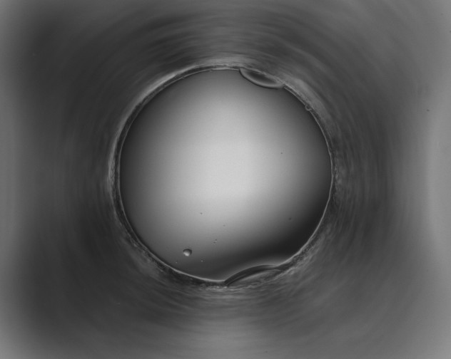 X0000089341044200706290957